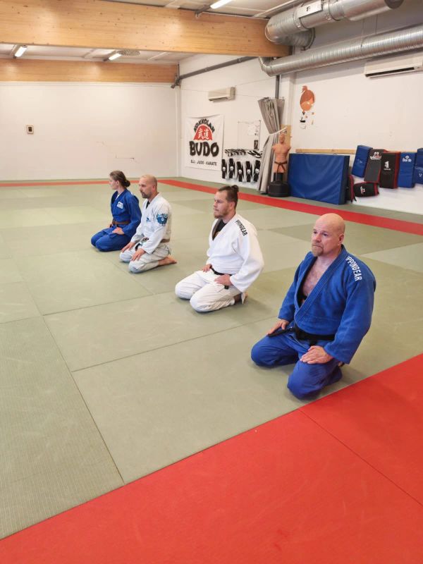 Kokkolan Budo